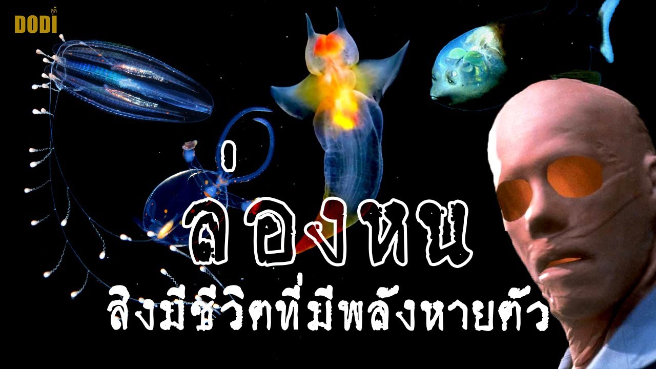 สิ่งมีชีวิตลึกลับที่ล่องหนหายตัวได้จริง